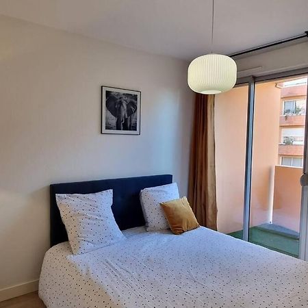 T3 Deluxe'S Avec Terrasse Lejlighed Toulouse Eksteriør billede